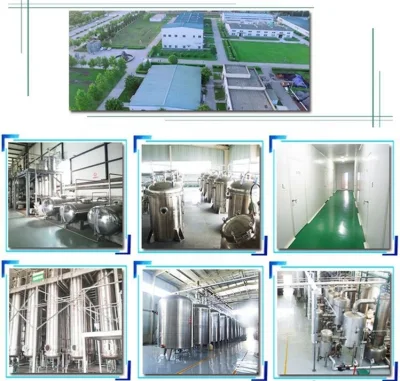 Factory Supply Ginkgo Extract Ginkgo Biloba Extract Powder for Lower Blood Pressure
