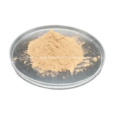Manufacturer Supply High Quality CAS 2115-91-5 Dendrobine