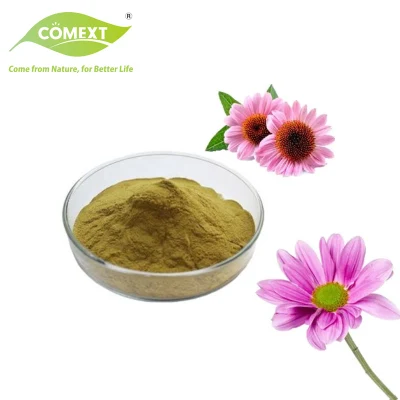 Comext Natural Cichoric Acid 1% 4% Echinacea Purpurea Extract Cichoric Acid