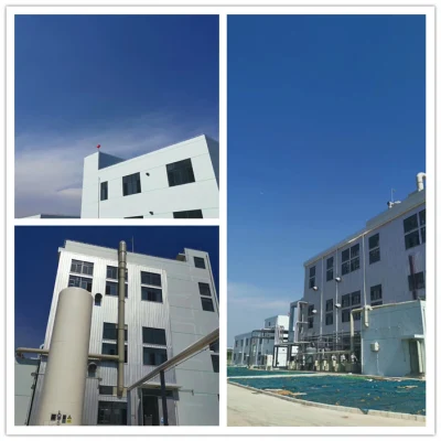 High Quality Notoginsenoside R1 80418-24-2