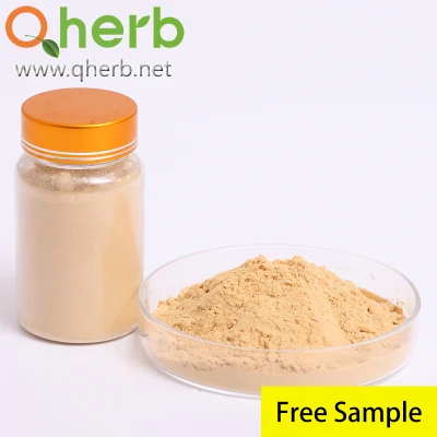 Prepared Rehmannia Root Extract