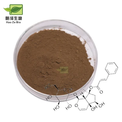 Factory Price CAS 19210-12-9 Devil Claw Extract Harpagoside