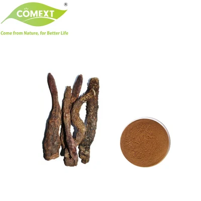 Comext Factory OEM 1-45% Echinacoside 1-20% Acteoside Plant Extract Cistanche Tubulosa Powder