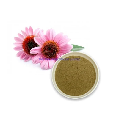 Root Extract 4% Cichoric Acid Echinacea Purpurea Food Grade Extract Chicory Acid