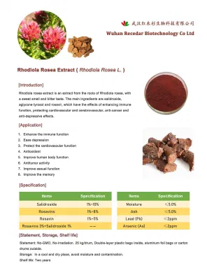 Rhodiola Rosea Extract Powder Salidroside 3% Rosavin with CAS 84954-92-7