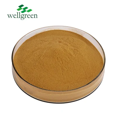 Free Sample Hotsale Bamboo Shoot Natural Herb Flavone Leaves 5%-30% Flavonoids Bamboo Extract