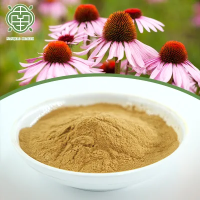 Nanqiao Factory High Quality Purple Daisy Extract Powder Polyphenols 4%-10% Cichoric Acid 2%-8%