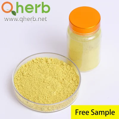 Best Price Sophora Japonica Flower Bud Extract 98% Quercetin Anhydrous UV Herb Plant