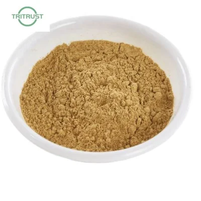 Kosher &amp; Halal Certified Rosavins 5% Salidroside 2% Rosavin 3% Rhodiola Rosea Extract