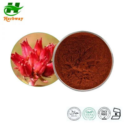 Herbway Whosale Price Rhodiola Rosea Root Extract with Rosavin Powder 4%