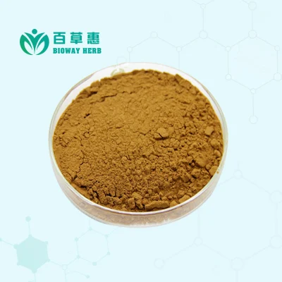 Free Sample CAS 158932-33-3 Secoisolariciresinol Diglucoside Powder