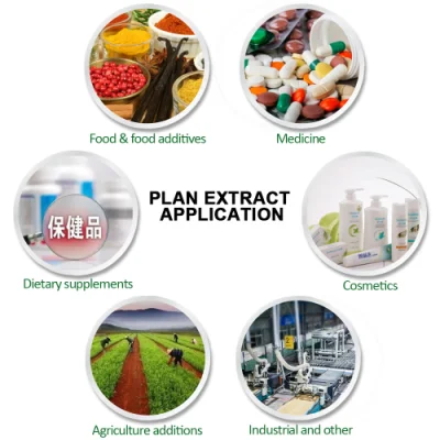 Herbway Herbal Extract Kosher Halal Fssc HACCP Certified Astragaloside 0.3%~98% Immunity Enhancer Astragalus Root Extract