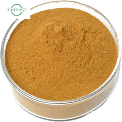Kosher &amp; Halal Certified Rosavins 5% Salidroside 2% Rosavin 3% Rhodiola Rosea Extract