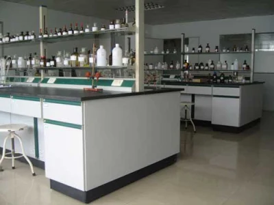 Notoginseng Extract Panax Notoginsenosides with Oral and Injection Grade