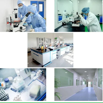 Factory Supply Echinacea Purpurea Root Extract Polyphenols Echinacoside