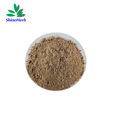 Best Price Herbal Organic Cistanche Tubulosa Extract Powder Echinacoside