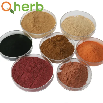Ziziphus Jujuba Extract Jujuboside a &amp; B HPLC 0.2% HPLC