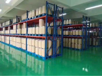 Factory Supply Ginkgo Extract Ginkgo Biloba Extract Powder for Lower Blood Pressure