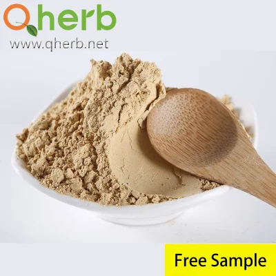 Natural Three-Seven Root Extract with Ginsenosides 75% HPLC Notoginsenoside R1 &amp; Ginsenoside Rg1 Re Rb1 Rd