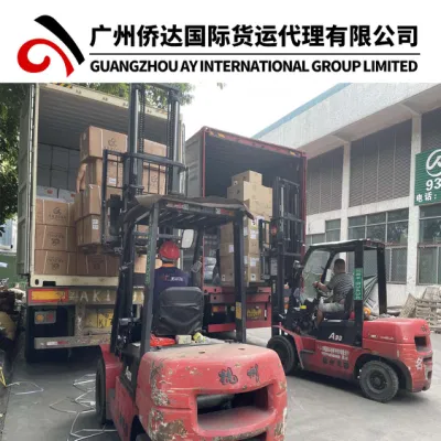 Fast Air Shipping Agent China Freight Forwarder Air Cargo From China to Afghanistan Kabul (Kbl) by Kam Air/1688 Alibaba Express