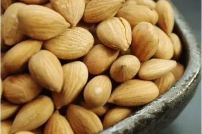 Raw Apricot Seeds/Apricot Kernels for Sale Sweet and Bitter Apricot