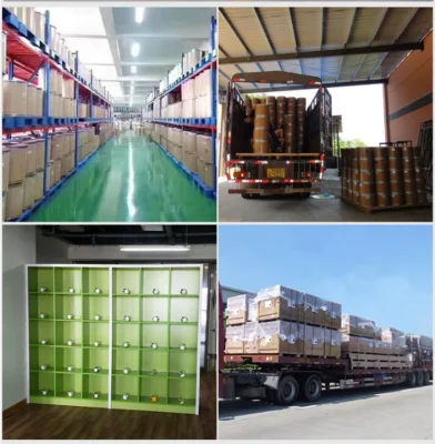 Cistanche Tubulosa Extract, Phenylethanoid Glycosides, Echinacosides, Verbascoside