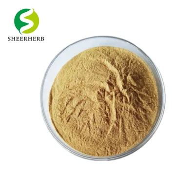 100% Organic Food Grade Fingerroot Extract 4: 1 10: 1 Boesenbergia Rotunda Extract Powder