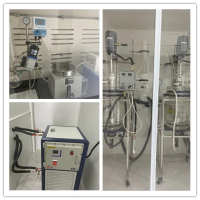 Fast Delivery Pachymic Acid CAS No. 29070-92-6