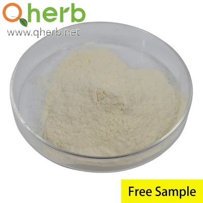 5% Notoginsenoside R1 Notoginseng Triterpenes