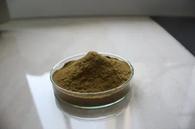 ISO Factory Supply Ginkgo Biloba Extract Powder