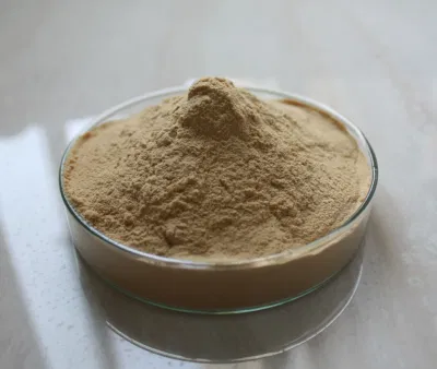 Huakang Supply Hala Certified 10%~80% Secoisolariciresinol Diglycoside (SDG) Flax Lignans Flaxseed Extract