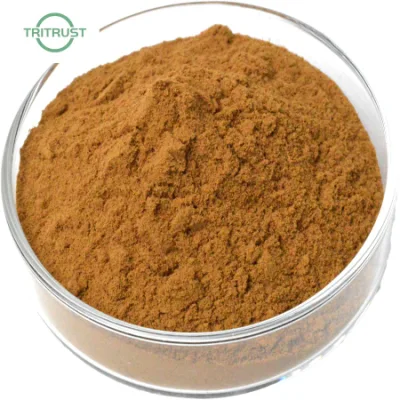 Kosher &amp; Halal Certified Rosavins 5% Salidroside 2% Rosavin 3% Rhodiola Rosea Extract