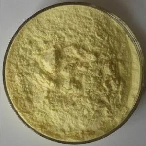10: 1 Prunus Salicina L Dried Plum Extract