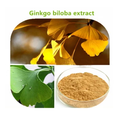 Wholesale Bulk Ginkgo Biloba Egb 761 Dhc Ginkgo Biloba Extract Ginkgo Biloba Extract