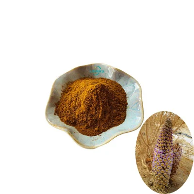  Echinacoside Powder Bulk Cistanche Tubulosa Extract Echinacoside 20%