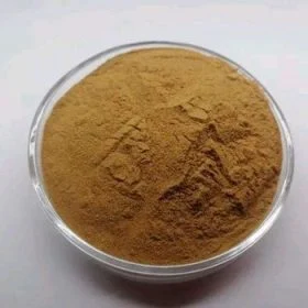 Natural Polysaccharides 20% 70% Astragaloside IV 0.5% Astragalus Root Extract with ISO22000 Certificate