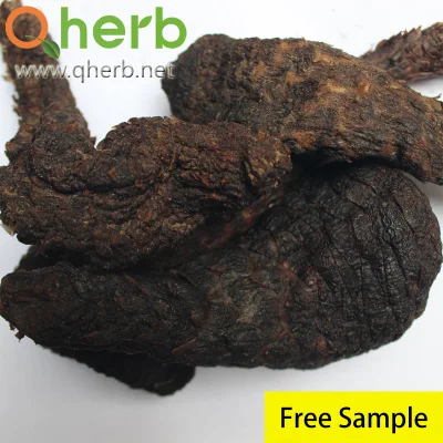 Cistanche Tubulosa Extract Echinacoside