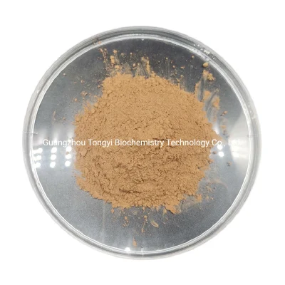 Manufacturer Supply High Quality CAS 83207-58-3 Astragaloside a