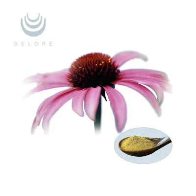 Echinacea Purpurea Extract Echinacea Herb P. E. Echinacea Extract Polyphenols 4%-10% Cichoric Acid