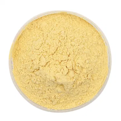 ISO Factory Echinacea Extract 4% Cichoric Acid Echinacea Purpurea Echinacea Extract Powder
