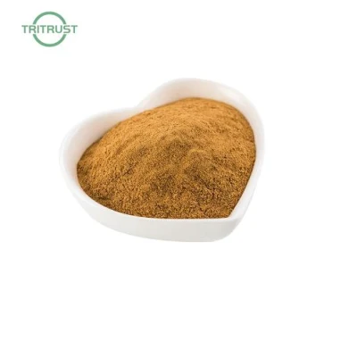 Factory Forsythin Natural Forsythia Powder Forsythia Suspensa Extract Forsythin 2% Forsythia Extract