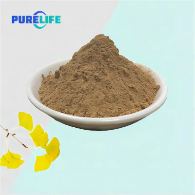  High Pure Herb Organic Flavone Glycosides Dry Ginkgo Leaf Biloba Extract
