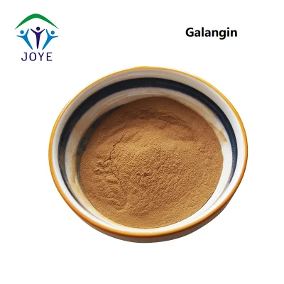 Galanga Extract Lesser Galangal Rhizome Extract with 98% Galangin