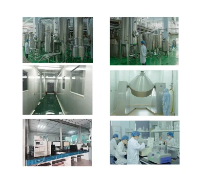 Wholesale Pharmaceutical Grade Galangal Extract Powder 98% Galangin CAS 548-83-4