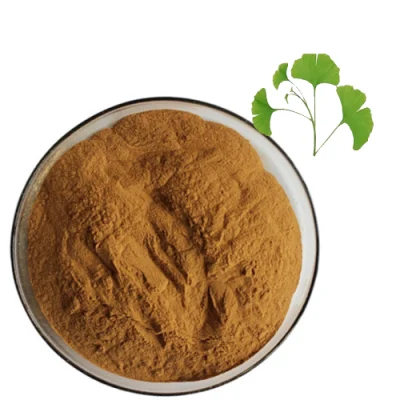 Natural Ginkgo Biloba Leaf Extract Powder