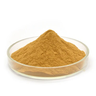 Hot Sale Plant Extract Elecampane Extract /Elecampane Alantolactone 1.2% Powder Extract