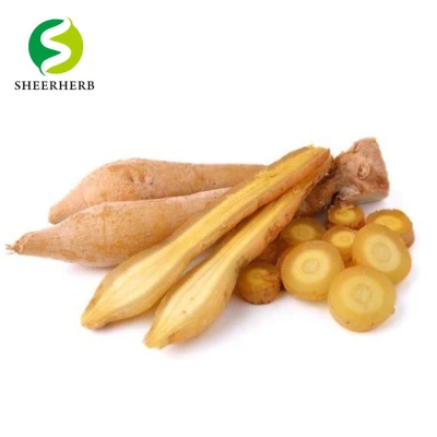 100% Organic Food Grade Fingerroot Extract 4: 1 10: 1 Boesenbergia Rotunda Extract Powder