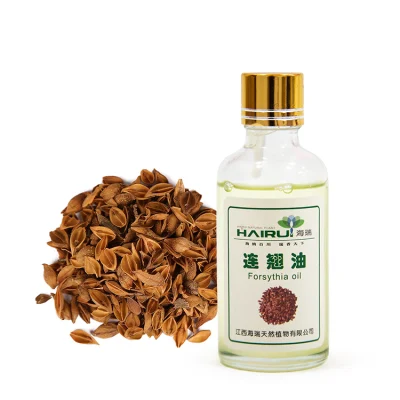 Hot Sale Weeping Forsythia Oil 100% Pure Natural Weeping Forsythia Oil