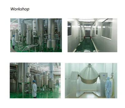 100% Natural High Putiry Wholesale Plant Extract Galangal Extract with 98% Galangin