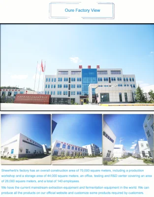 Wholesale Ginkgo Biloba Extract Powder Top Grade Ginkgo Biloba Extract